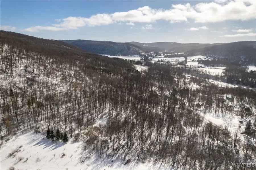 V/L Kent Road, Little Valley, NY 14755 - #3