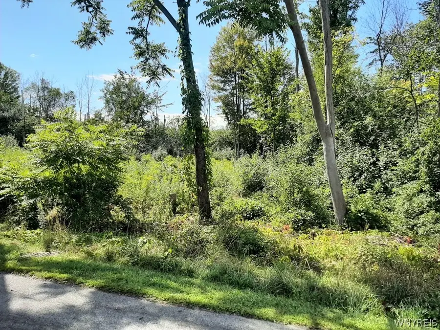 5962 Rosewood Terrace W, Hamburg, NY 14075 - #2