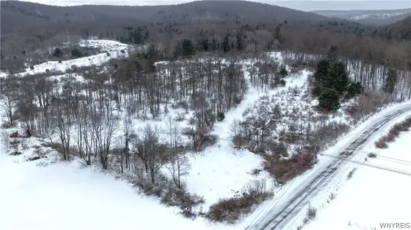 Barker Run Road, Great Valley, NY 14741