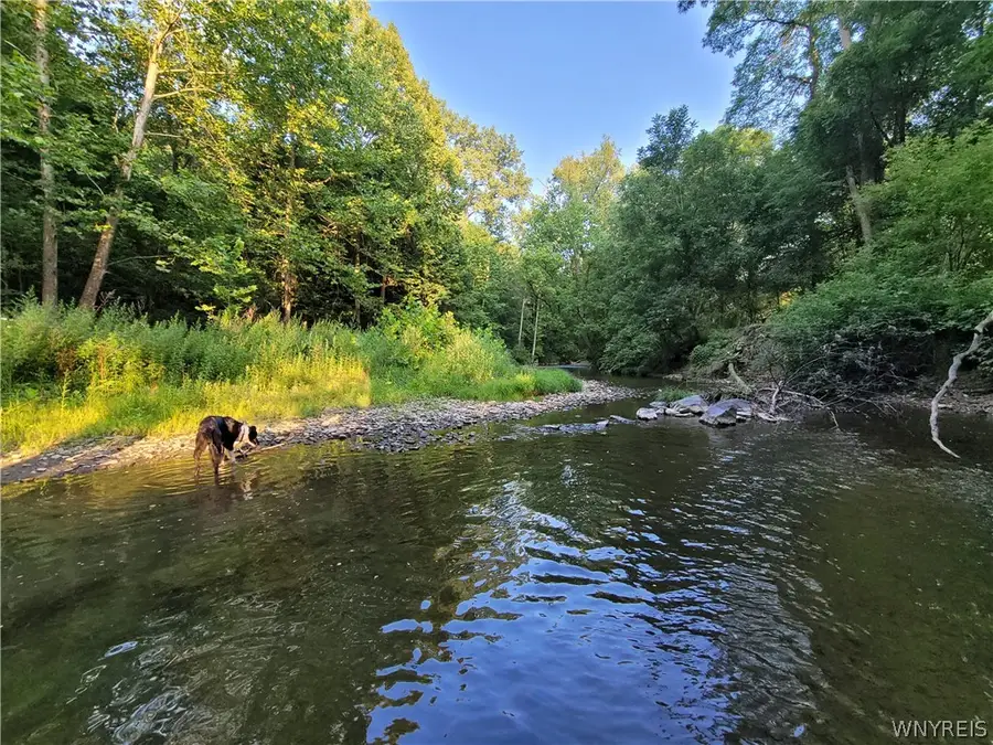 6671 Olean Road, South Wales, NY 14139 - #2