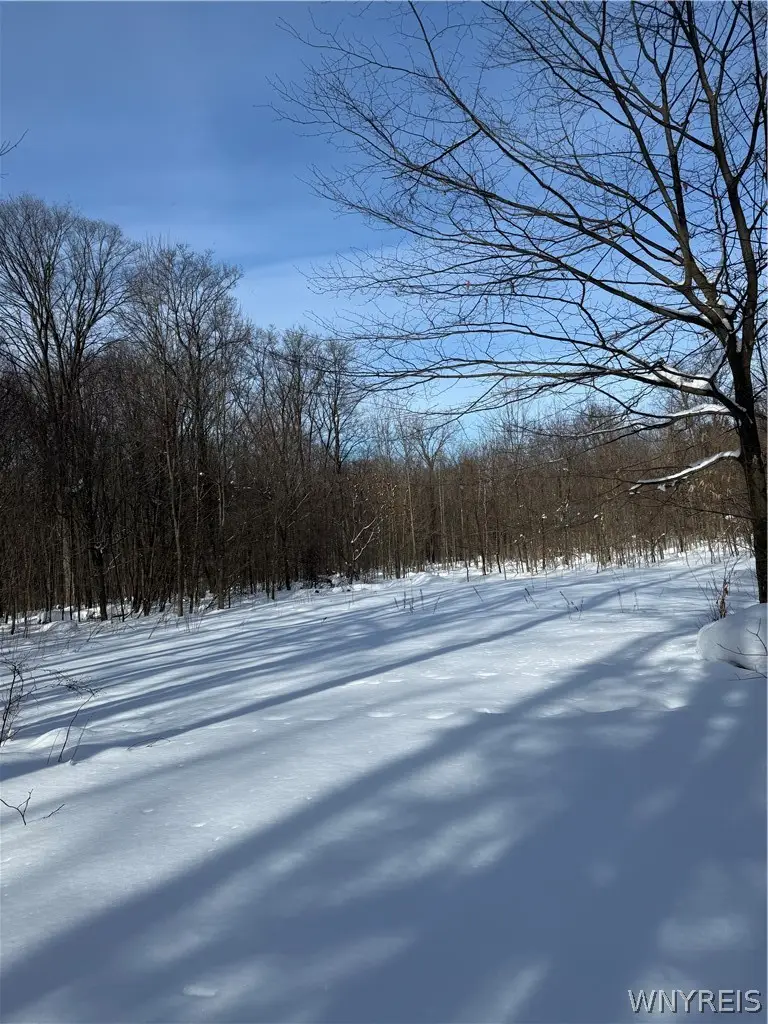 V/l Syler Road, Warsaw, NY 14569 - #1