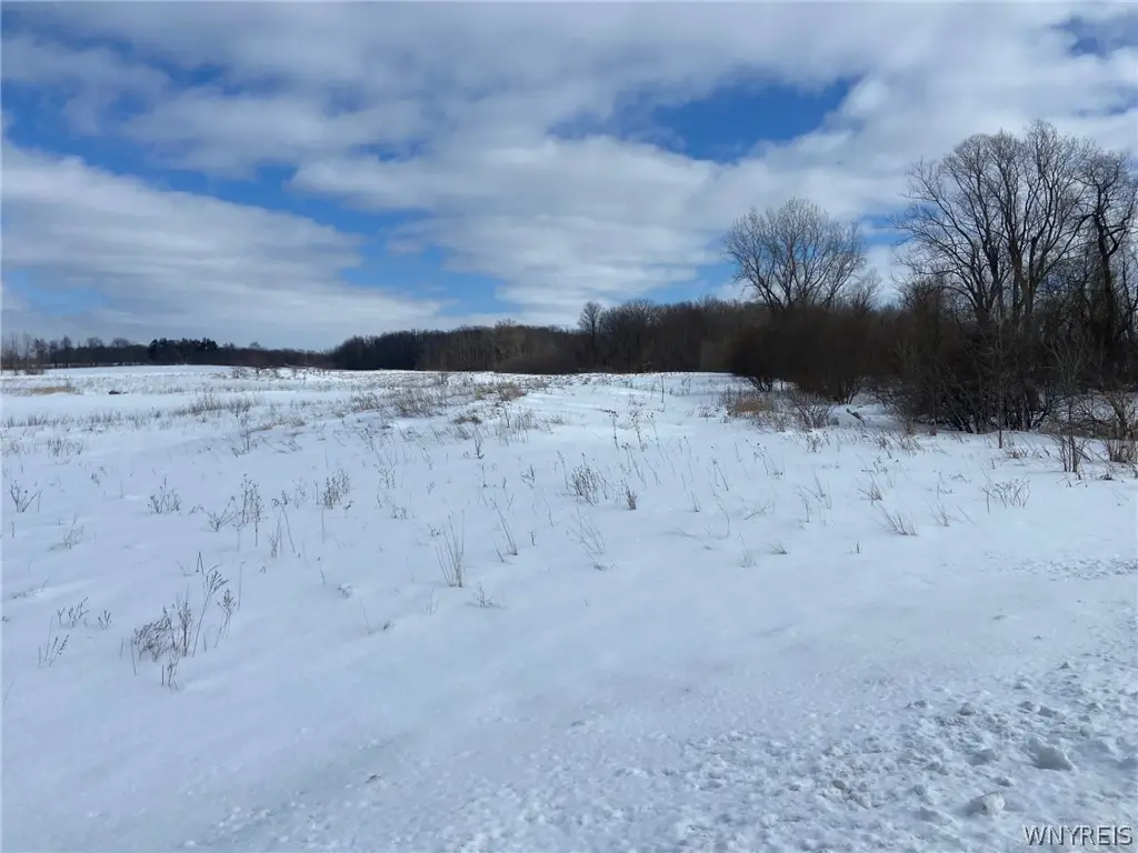 4663 Freeman Road, Royalton, NY 14103 - #1