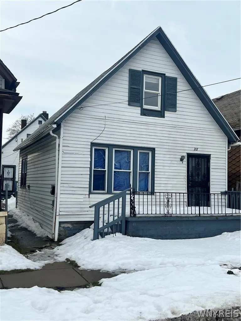 207 Oneida Street, Buffalo, NY 14206 - #1