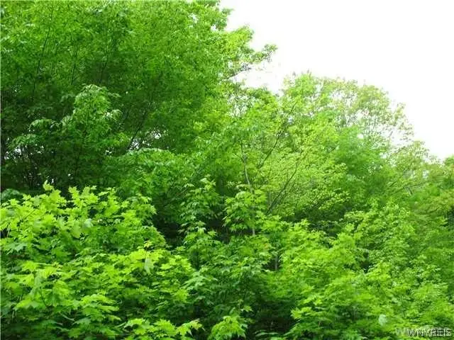 VL Dublin Road, Salamanca, NY 14779 - #1