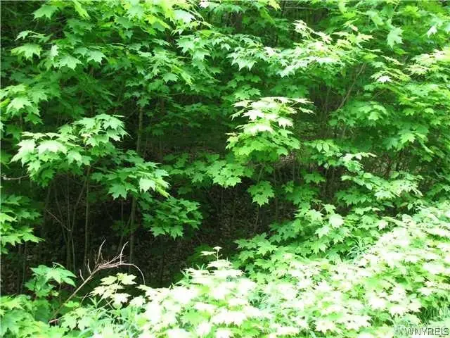 VL Dublin Road, Salamanca, NY 14779 - #2