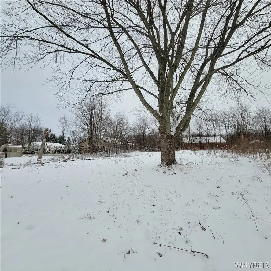 50 Briarwood Drive, Lockport, NY 14094 - #3