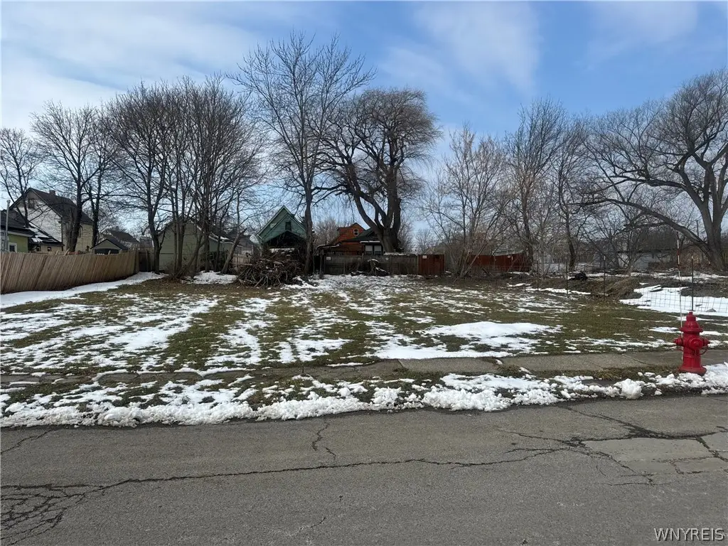 128 Detroit Street, Buffalo, NY 14206 - #1