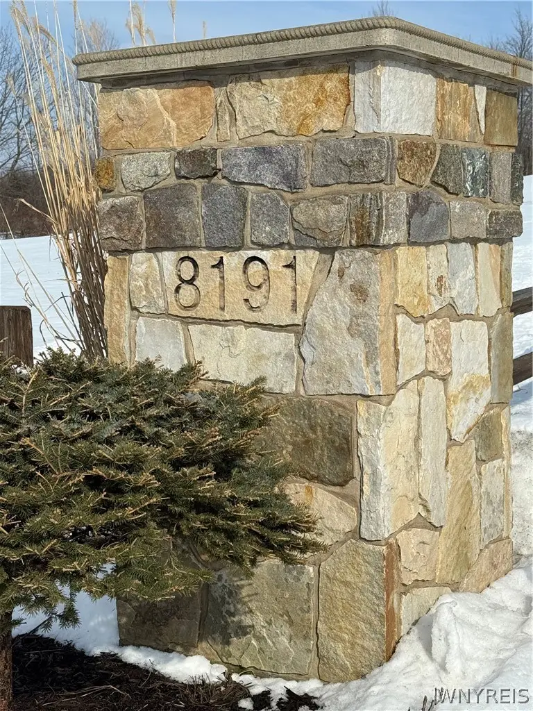 8191 Cole Road, Colden, NY 14033 - #2