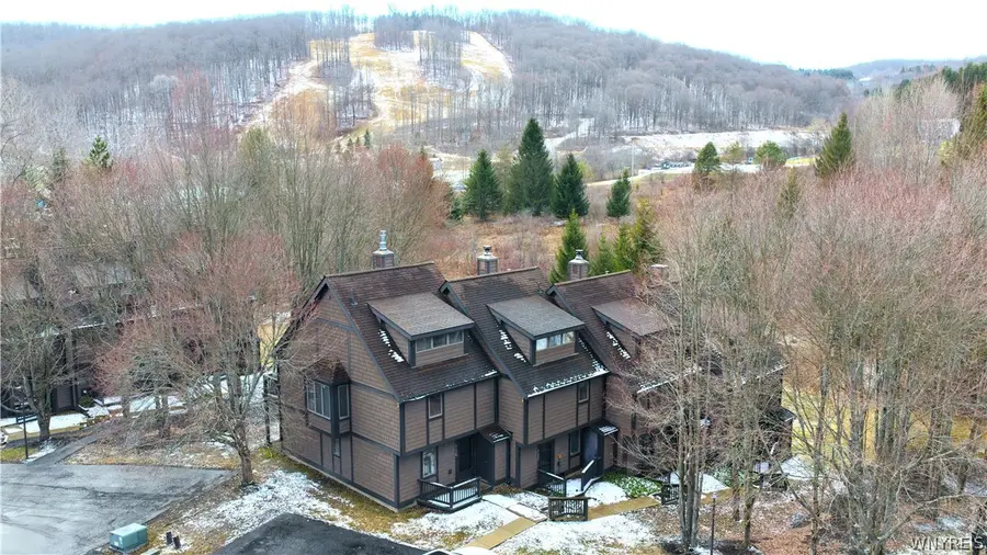 118 Holiview, Ellicottville, NY 14731 - #2