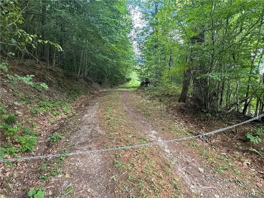 5400 County Road 38, Alma, NY 14708 - #3