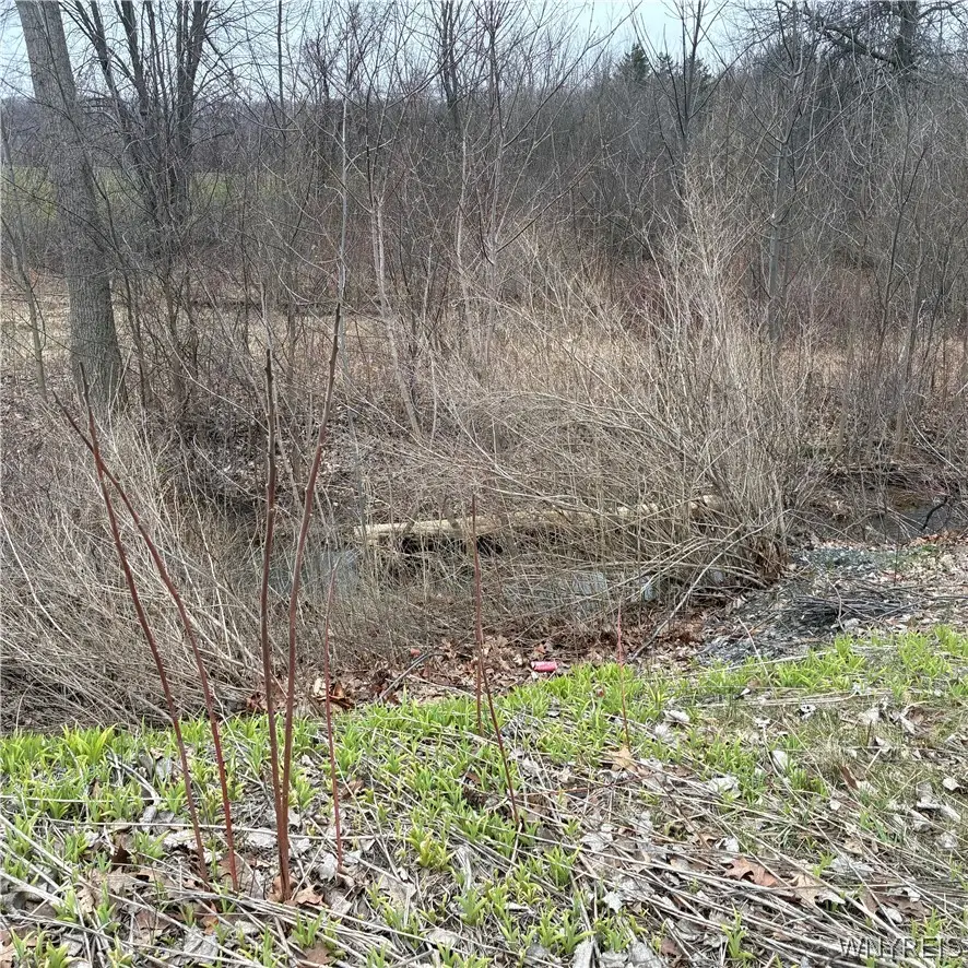 Ridge Road, Lewiston, NY 14092 - #2