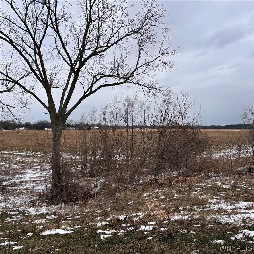 Ridge Road, Lewiston, NY 14092 - #3