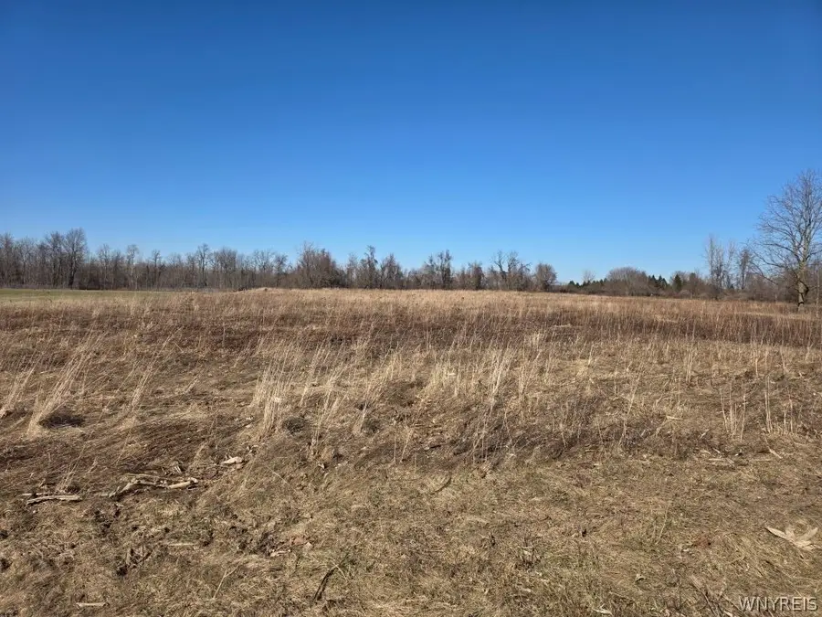 10880 Miland Road, Clarence, NY 14032 - #3