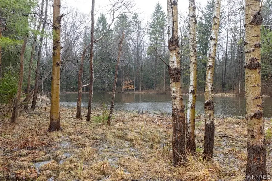 13085 Whitney Road, Holland, NY 14080 - #2