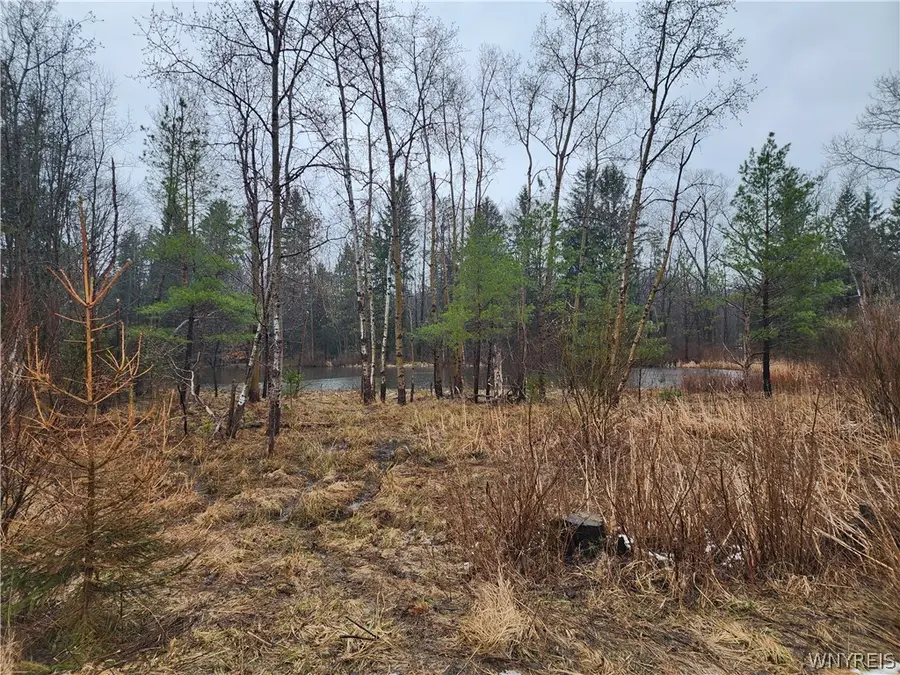 13085 Whitney Road, Holland, NY 14080 - #3