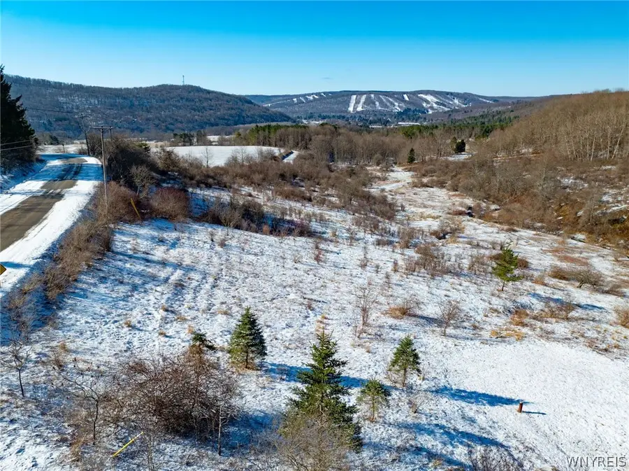 6801 Horn Hill Road, Ellicottville, NY 14731 - #2