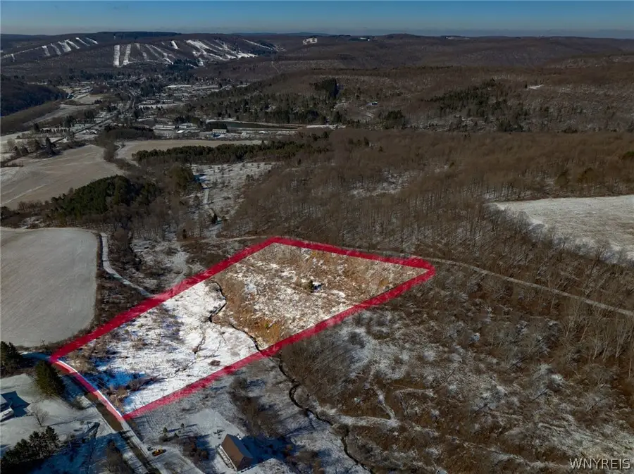 6801 Horn Hill Road, Ellicottville, NY 14731 - #3