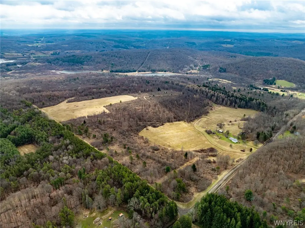 8154 S Canada Hill Road, Machias, NY 14101 - #1