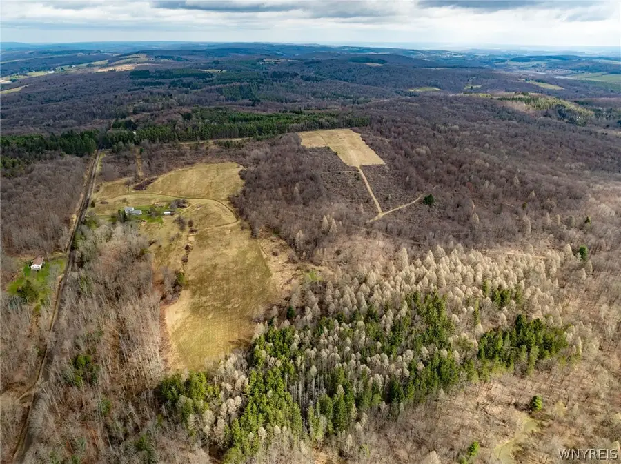 8154 S Canada Hill Road, Machias, NY 14101 - #2