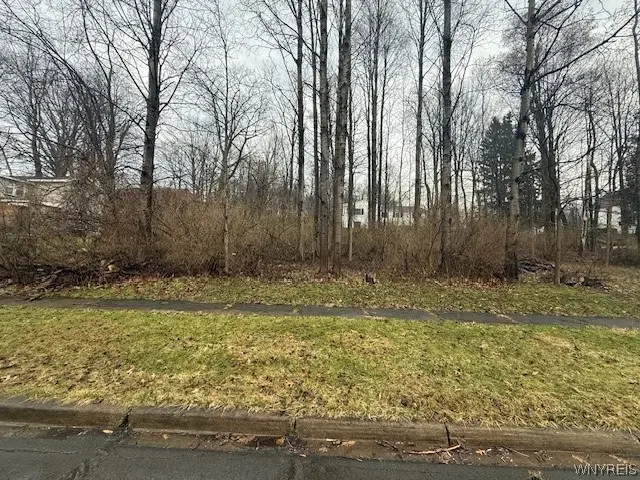 Dunn Avenue, Jamestown, NY 14701 - #3