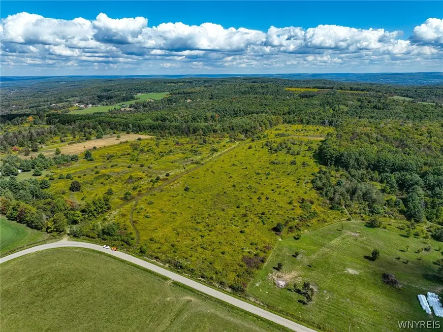 5420 Reed Road, Friendship, NY 14739 - #2