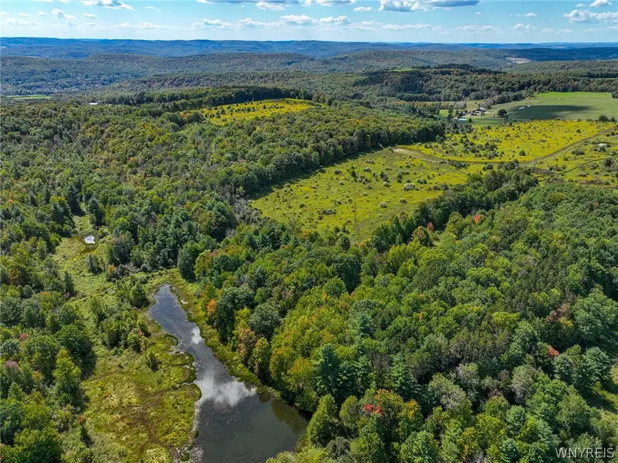 5420 Reed Road, Friendship, NY 14739 - #3