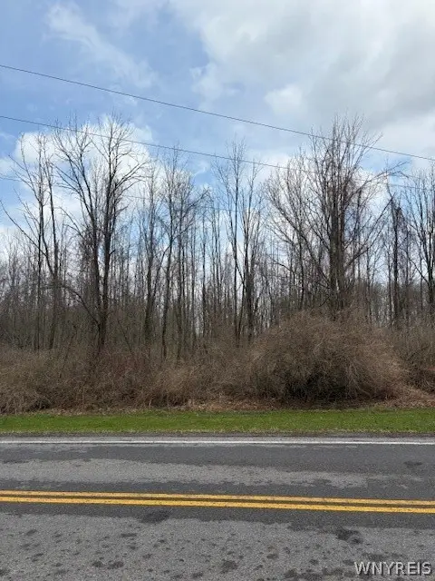 00 V/l Mcvean Road, Corfu, NY 14036 - #1