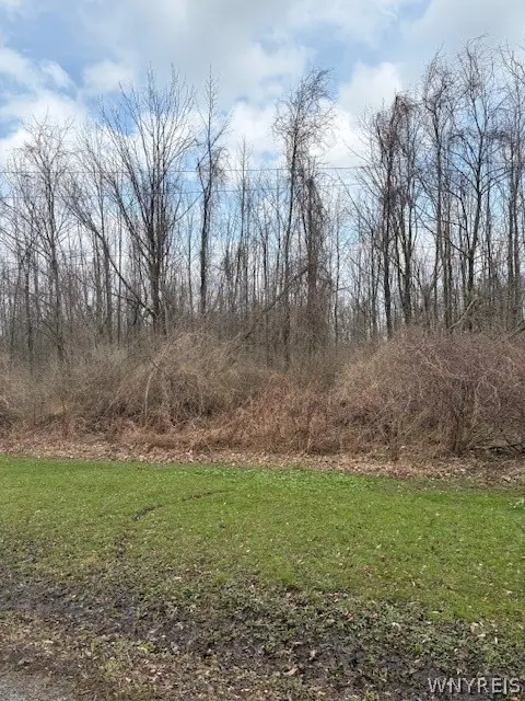 00 V/l Mcvean Road, Corfu, NY 14036 - #3