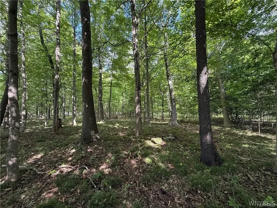 V/L Jones Road, Clarence, NY 14031 - #3