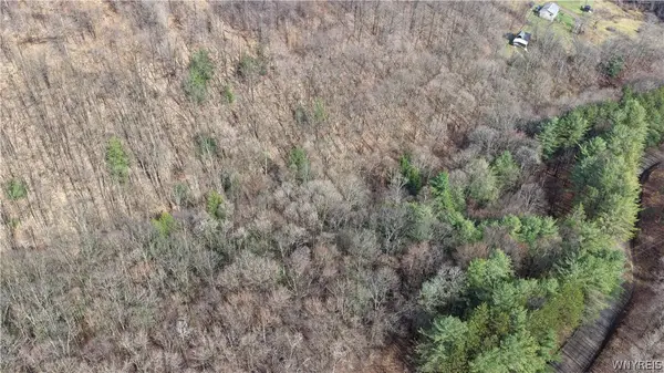 0 Haines Hollow Road, Great Valley, NY 14741