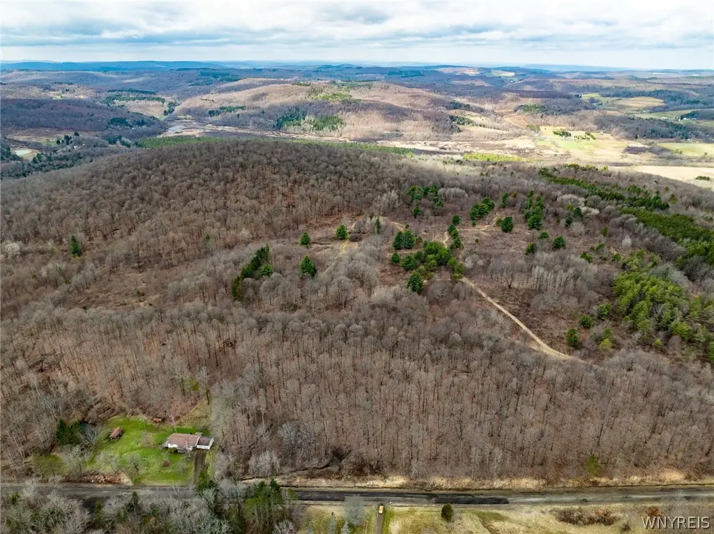 8154 Canada Hill Road, Machias, NY 14101 - #1