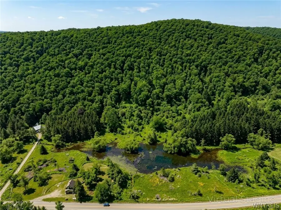 Maples Road, Ellicottville, NY 14731 - #3