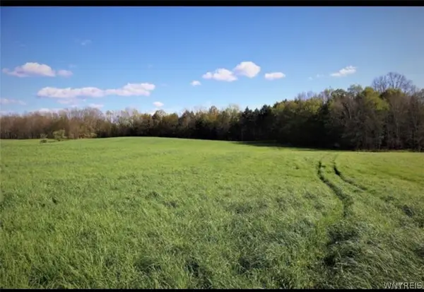 Route 39, Collins, NY 14034