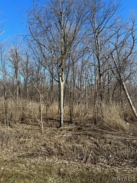 0 Wilson Avenue S, Lancaster, NY 14086 - #1