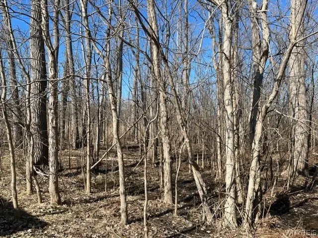 0 Wilson Avenue S, Lancaster, NY 14086 - #1