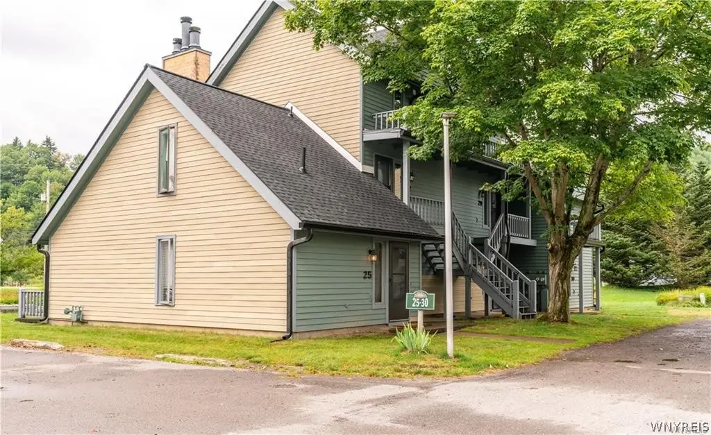 25 Wildflower, Ellicottville, NY 14731 - #1