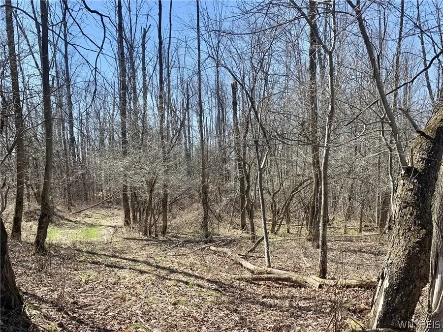 6320 Stinson Road, Arcade, NY 14009 - #2