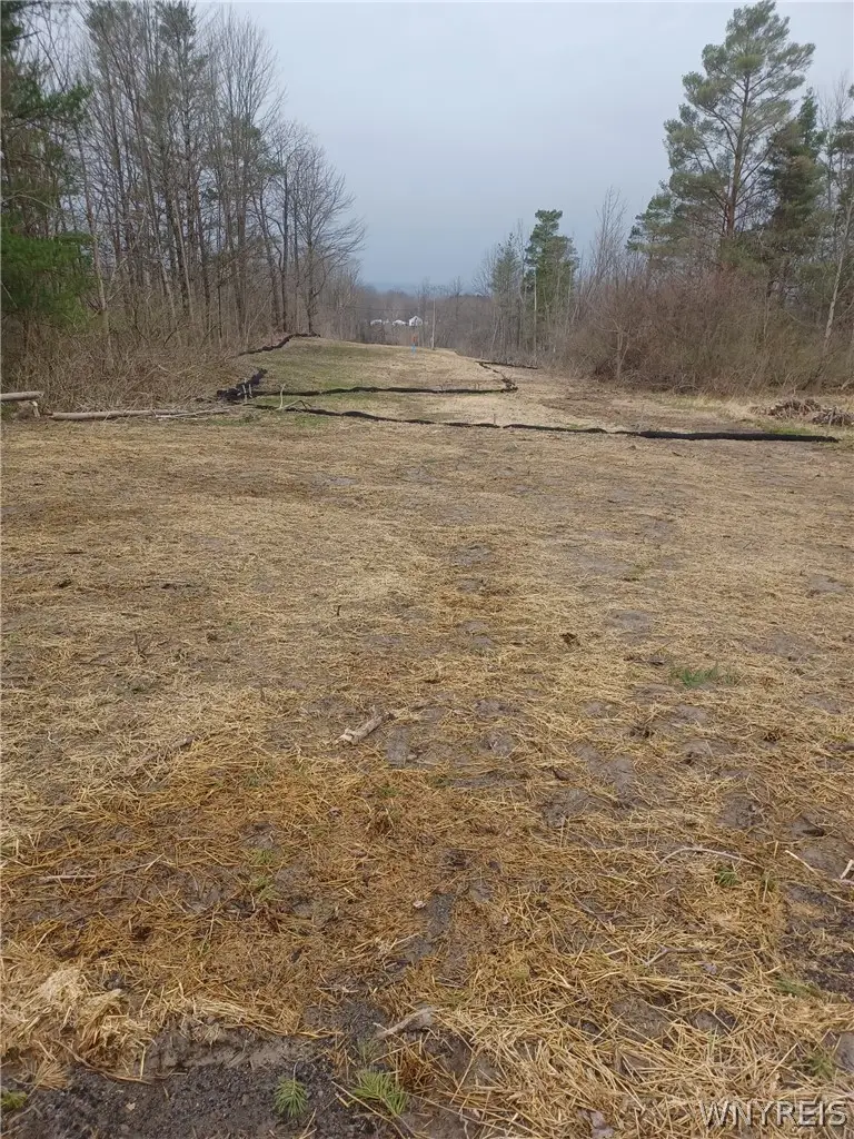 Wilson Road, Collins, NY 14034 - #3