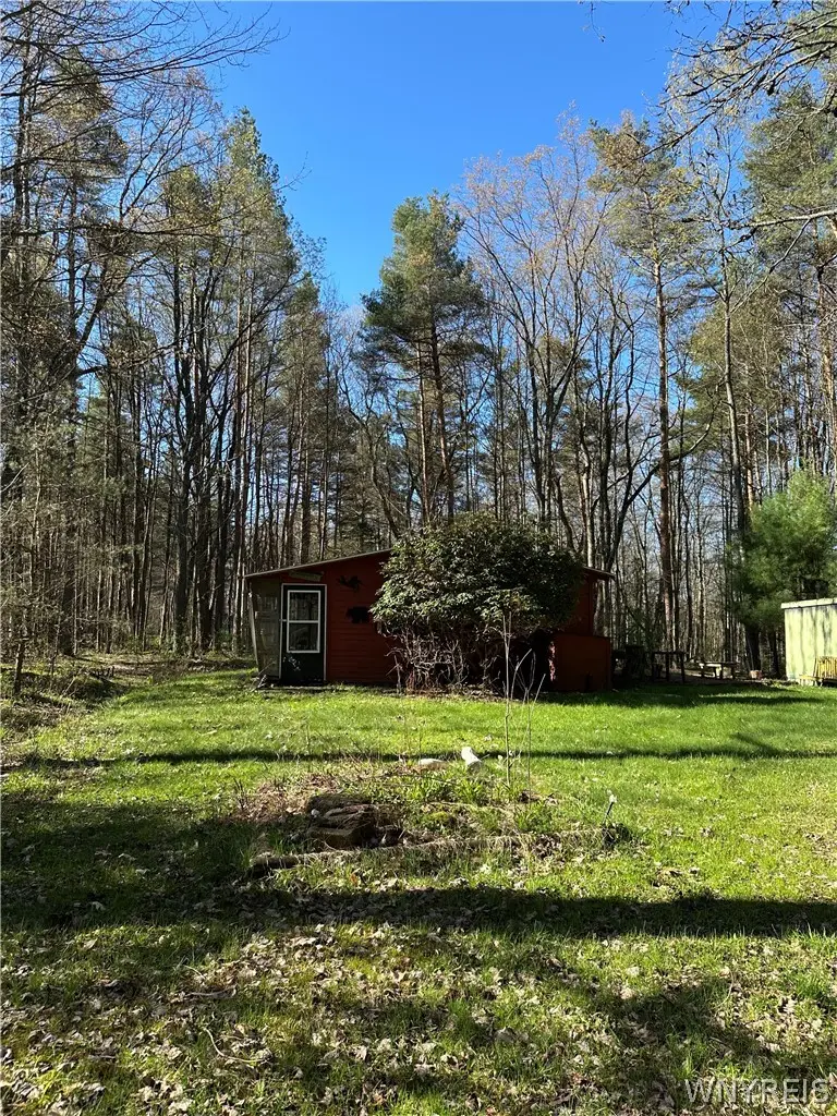 3631 Pine Ridge Road, Clarksville, NY 14727 - #2