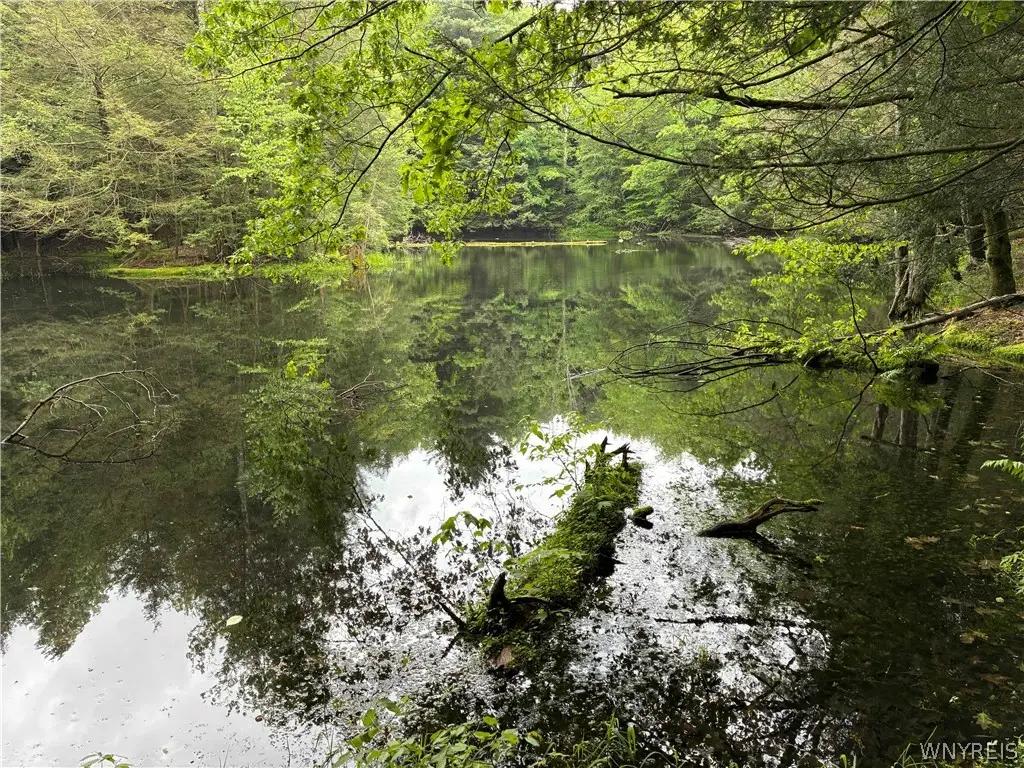 2741 Smith Hollow Road, Olean, NY 14760 - #1