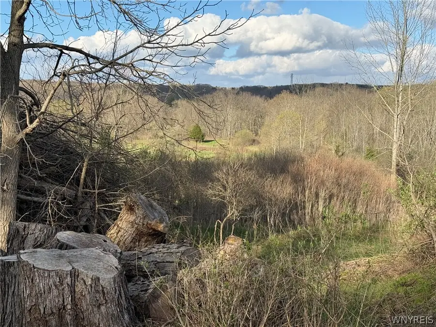 0 Hubbard Road, East Aurora, NY 14052 - #2