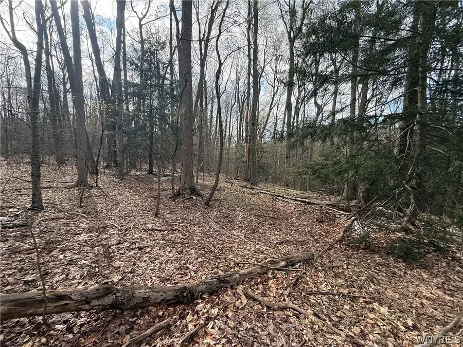 8314 Zimmerman Road, Boston, NY 14025 - #2