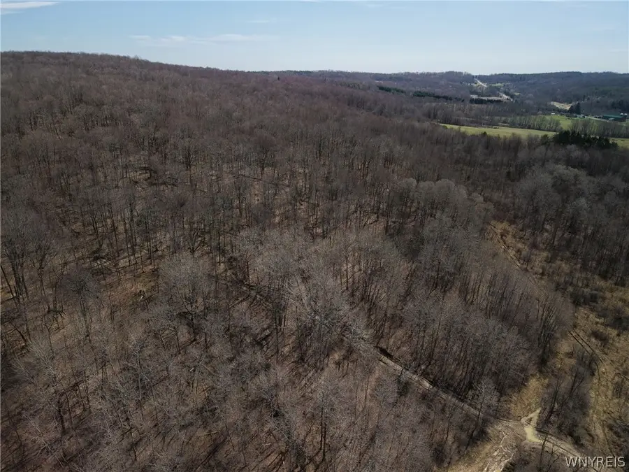 0 Bakerstand Road, Machias, NY 14101 - #3