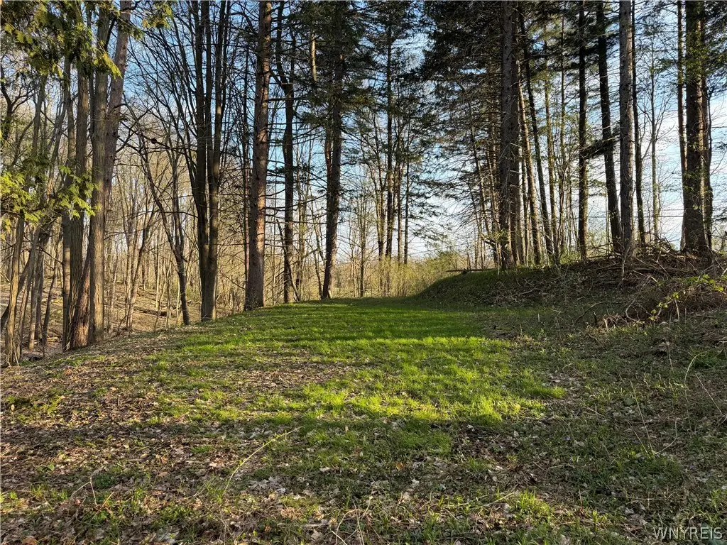 00 Pit Road, Java Center, NY 14082 - #1