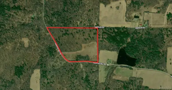 275 Harpur Hill Road, Nineveh, NY 13813