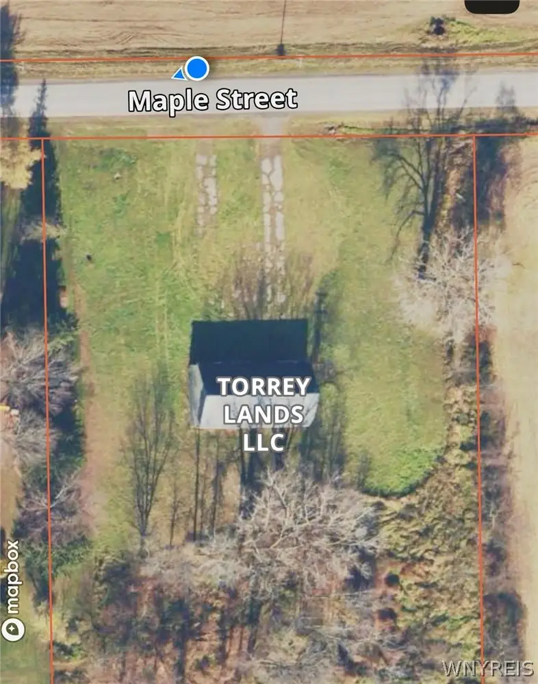 Maple Street, Albion, NY 14411 - #3