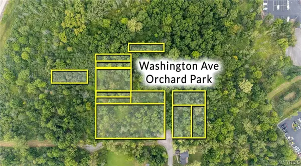 Washington Avenue, Orchard Park, NY 14127