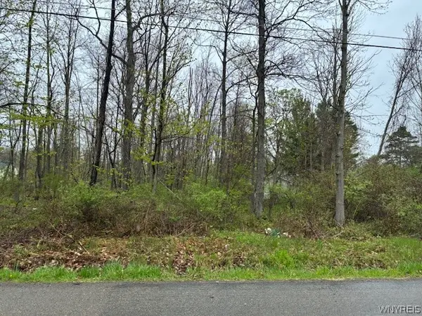 Argyle Avenue, Angola, NY 14006