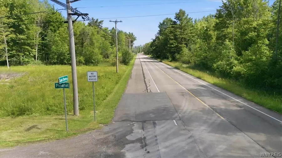 Pinehart Road, Angola, NY 14006 - #3