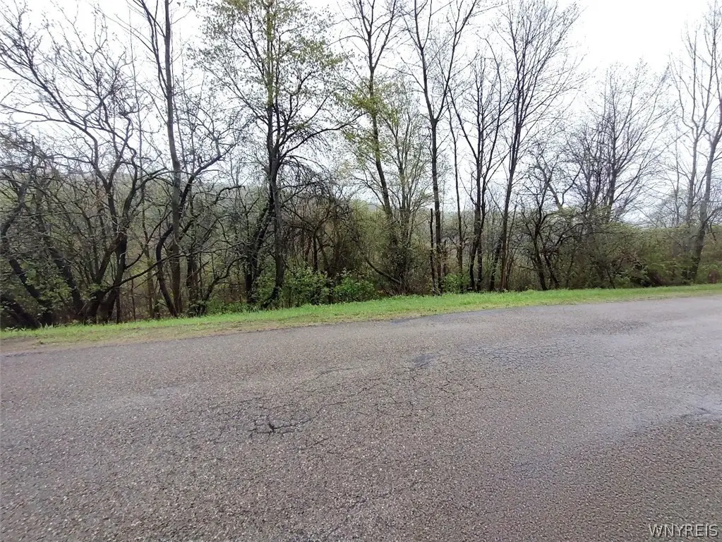 Bozard Hill Road, Great Valley, NY 14741 - #1